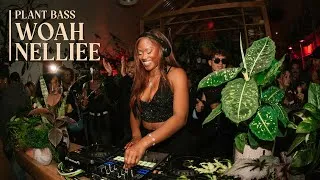 Thumbnail: R&B Edits, Afro House, Club, and Miami Bass in Brooklyn Plant Shop | Woah Nelliee