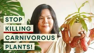 Thumbnail: How to Care for Carnivorous Plants Indoor