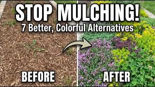 Thumbnail: 7 Groundcovers That Replace Mulching And Look Better Doing It 😱