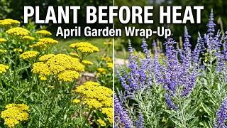 Thumbnail: April Wrap-Up: What to Plant NOW Before It Gets Too Hot 🔥 | 7 Must-Plant Perennials