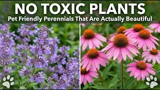 Thumbnail: Stop Poisoning Your Pets! 7 Beautiful & Safe Perennials 🐶🐱🌸