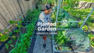 Thumbnail: Summer is here. Time to transition the garden.