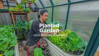 Thumbnail: The Most Important Things Gardeners Forget to Do in Spring