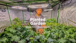 Thumbnail: How we start our gardening season