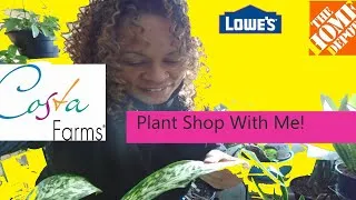 Thumbnail: Relaxing Big Box Houseplant Tour!  #Plantshopping  #HouseplantShopping #PlantHaul #CheapPlants #rare