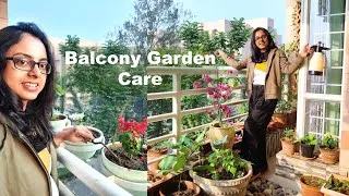Thumbnail: Balcony Garden Care Vlog - My Weekly Routine and Harvesting
