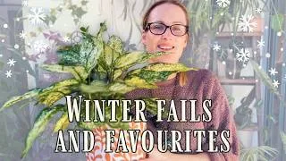 Thumbnail: Winter HousePlant Update |The Good, Bad & Buggy 🌿❄️☺️
