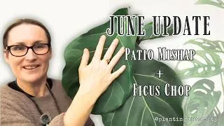Thumbnail: What's Thriving, What's Not & Who's in the Naughty Corner | A slightly late June Plant Update ☺️🌿✨