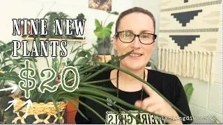 Thumbnail: I Went to Pick Up ONE Plant… and Came Home With Nine 🌿 | Budget Plant Haul 🤩🪴✨