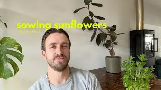 Thumbnail: Plant Life Chronicles | sunflowers + herbs care