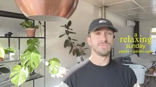 Thumbnail: Plant Life Chronicles | the (indoor) garden, the pups and me