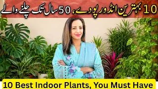 Thumbnail: Top 10 Best Indoor Plants for Home | Easy & Low Maintenance Houseplants | Gardening in Pakistan