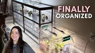 Thumbnail: Cleaning up & resetting my messy plant quarantine area 🧹🌿
