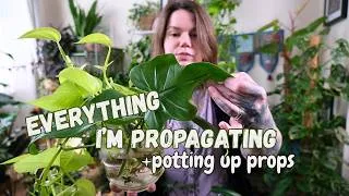 Thumbnail: Potting Up Props + All The Houseplants I'm Currently Propagating