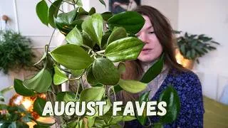 Thumbnail: Favourite Plants From My Houseplant Collection Aug 26