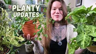 Thumbnail: Exciting Updates From My Houseplant Collection