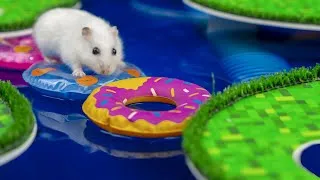 Thumbnail: Hamster Escape From Prison Maze Minecraft