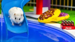 Thumbnail: 🐹AQUAPARK MAZE FOR HAMSTER!🐹 Hamster Escapes the Pool Maze for Pets