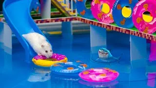 Thumbnail: 🐹MEGA HAMSTER RACE 🐹 maze with Traps hamster🐹 Minecraft Maze😱OBSTACLE COURSE😱