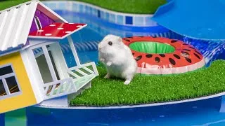 Thumbnail: 🐹 Hamster Escapes the Pool Maze for Pets 🐹