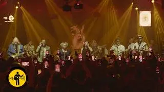 Thumbnail: Could You Be Loved | Playing For Change Band | Live at Warung 2026