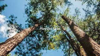 Thumbnail: Austin Sebek - By Your Side (Instrumental)