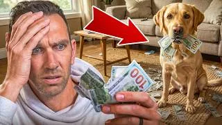 Thumbnail: Sorry Scammers, My Dog Ate Your Money...