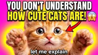 Thumbnail: Compilation of cats with narrator