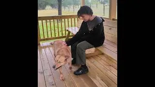 Thumbnail: PLK Pet Co - Hooves & Paws May 2026 - Bark's BarkBox