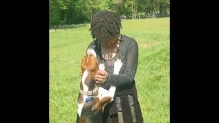Thumbnail: PLK Pet Co - Hooves & Paws April 2026 - Wild One's Collar Walk Kit