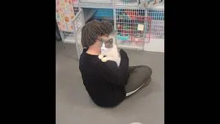 Thumbnail: PLK Pet Co - Fluvanna SPCA March 2025 - Wild One's Cat Tunnel
