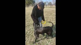Thumbnail: PLK Pet Co - Hooves & Paws March 2026 - Bark's BarkBox