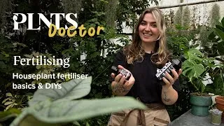 Thumbnail: Houseplant fertiliser basics & DIY plant nutrition | PLNTS Doctor SE3EP3