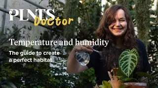 Thumbnail: Creating the perfect habitat: a houseplant temperature and humidity guide | PLNTS Doctor SE3EP2