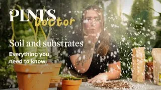 Thumbnail: Houseplant soil mix and substrates: everything you need to know | PLNTSdoctor S02E11