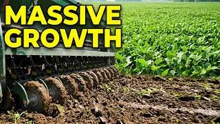 Thumbnail: Growing High-Density Soybean Food Plots