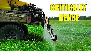 Thumbnail: Growing a CRITICALLY DENSE CLOVER Food Plot | Mowing & Spraying