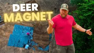 Thumbnail: Building a Waterhole on My Food Plot — Instant Deer Magnet