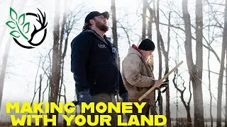 Thumbnail: Making Money off YOUR Land with The Plot Advisors