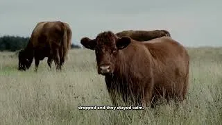 Thumbnail: 7 Animal Facts That Sound Fake (But Aren't)