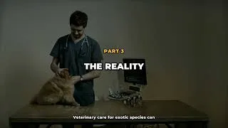 Thumbnail: Exotic Animals Found in the Last Place You'd Expect