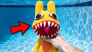 Thumbnail: I Found a Giant Anomaly in My Pool! Animal Hospital!