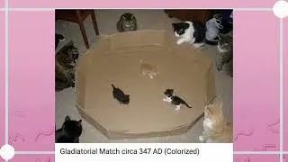 Thumbnail: This Tumblr Video Got Some Serious Bofa