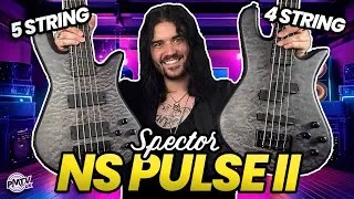 Thumbnail: Spector's Stunning NS Pulse II Basses Are TOP TIER Modern Instruments!