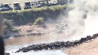 Thumbnail: The Great Migration Pt  1 by Chenelle Marshall   SD 480p