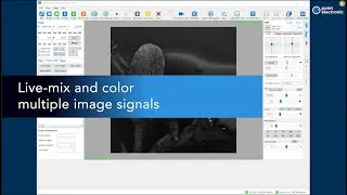 Thumbnail: SEM Modernization software - live colour and mix various detector signals