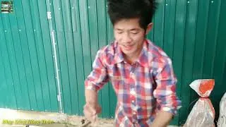 Thumbnail: Tiết Canh Lòng LợnTiếp Khách Quý idol tiktok Long Ca Nhẹ Nhàng Nhưng Ấm Bụng   Nhịp Sống Nông Thôn