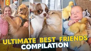 Thumbnail: Friendship Day: Unbreakable Bonds & Laughs!