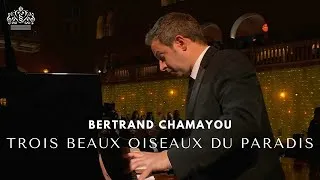 Thumbnail: Bertrand Chamayou - Trois beaux oiseaux du Paradis 2025