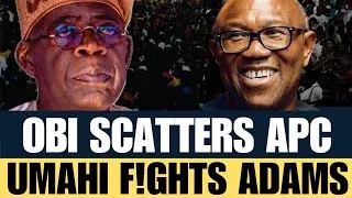 Thumbnail: 🔥SHOCKING! Oshiomhole Backs Obi’s Policy, Drops Bombshell on Tinubu & Umahi as APC Crisis Deepens